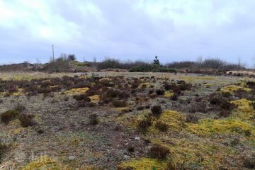 Shammer, Kilkelly, Co. Mayo — photo 2