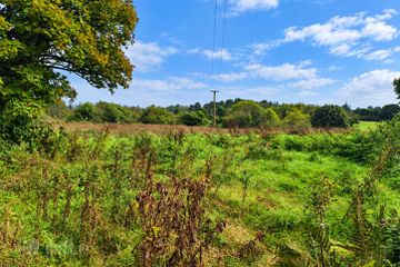 c.29.4 acre Residential Farm Bohaun, Kiltimagh, Co. Mayo, F12TY26 — photo 3