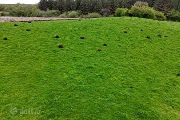 41.6 Acres (approx.) at Grange, New Inn, Ballinasloie, Co. Galway — photo 2