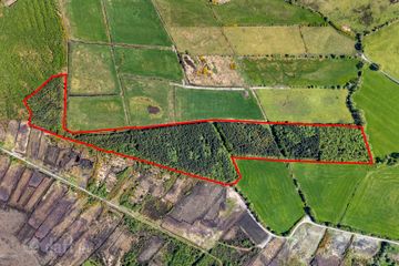 A1G54, Tonalig, Ballinasloe, Co. Galway