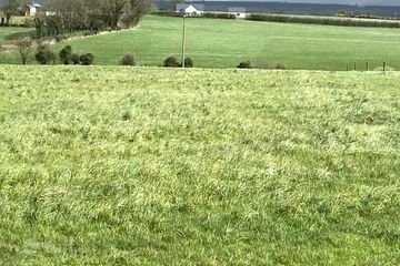 Top class grazing lands