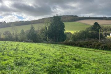 Ballynultagh (1.8 Acre Site), Shillelagh, Co. Wexford — photo 2