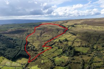 Lands At Dergovone, Dowra, Co. Leitrim, Folios LM 15197, 15199, N41E894 — photo 3