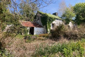 Tylagh Kielduff, Tralee, Co. Kerry — photo 3