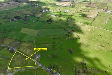 Residential Farm on 41 acres (approx.) at Carton, Elphin, Co. Roscommon — photo 2