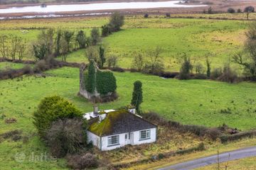 Canbo, Croghan, Boyle, Co. Roscommon, F52VX45 — photo 2