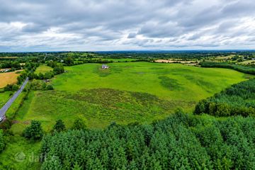  59.60 Acres at, Ballinlug, Rathconrath, Co. Westmeath — photo 2