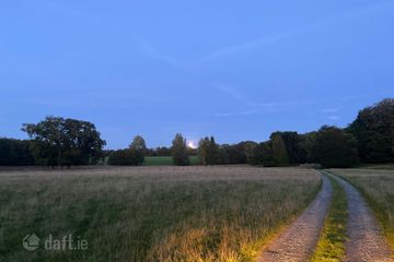 Fitzharding, Lacken, Berkeley Forest, New Ross, Co. Wexford — photo 2
