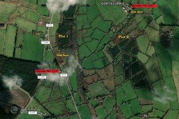 c.93 acres of Forest, Gortacurrig, Kildorrery near, Fermoy, Co. Cork — photo 2