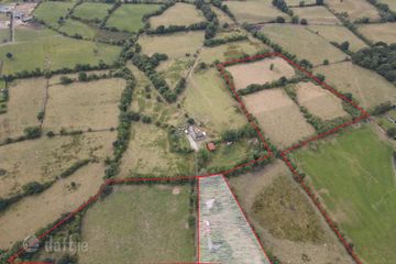 8.42 Hectares CN3639, Lisduff, Virginia, Co. Cavan — photo 3