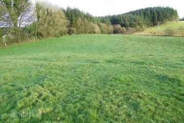 Tully, Loughglynn, Castlerea, Co. Roscommon, F45P718 — photo 3