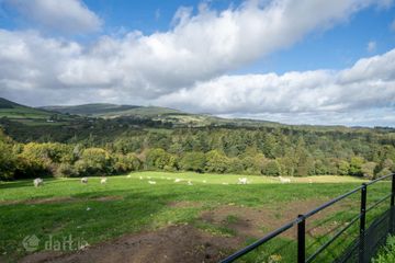Foresthills, Ballinagee, Enniskerry, Killough, Co. Wicklow — photo 3