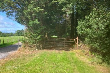 Ballinaguile, Kiltegan, Co. Wicklow, Chalet On 3.617, W91 T3F1 — photo 3