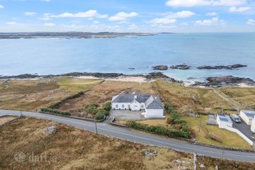 Blue Salmon, Ballyconneely, Clifden, Co. Galway, H71XK11 — photo 2