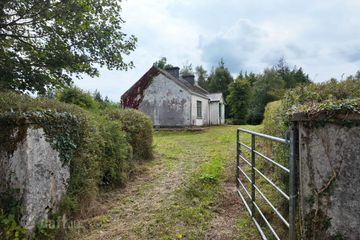 Tintagh, Corrigeenroe, Co. Roscommon, F52Y863 — photo 3