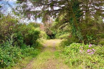 Residential Farm Standing On 20.43 Acres, Knocknaglogh, Dungarvan, Co. Waterford, P51K097 — photo 3