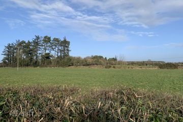 Ballinlass, Mountbellew, Co. Galway — photo 2