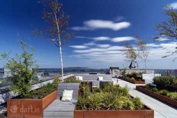 Roof Garden