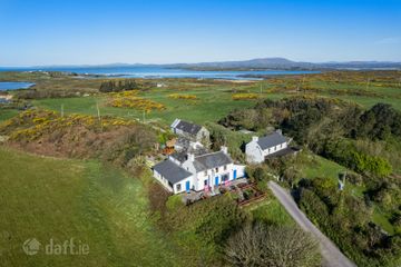 Jolly Roger, Farranacoush, Sherkin Island, Sherkin Island, Co. Cork, P81Y635 — photo 2