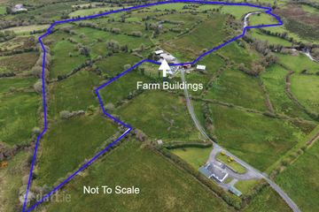 Derelict Residence & Farm Buildings C. 41.44 Acres, Corgorman, Arigna, Co. Roscommon