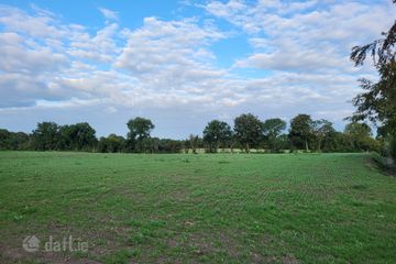 Rynn Rosenallis, Rosenallis, Co. Laois — photo 3