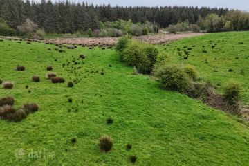 41.6 Acres (approx.) at Grange, New Inn, Ballinasloie, Co. Galway — photo 3