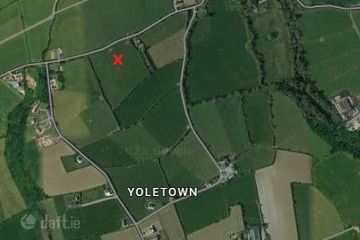 Boher Boy, Yoletown, Ballycullane, Co. Wexford