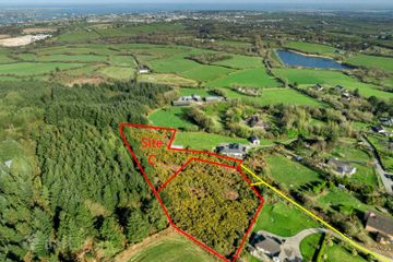 Site ‘C’ at Colestown, Coolree, Co. Wexford — photo 2