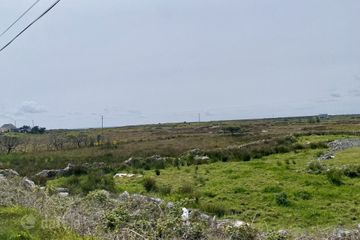 IMG_4849.jpg