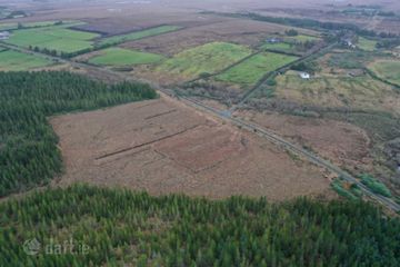 C. 53.3 Acres Of Forestry, Castlehill, Ballycroy, Co. Mayo — photo 2