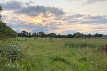 Faddan, Carrig, Birr, Co. Offaly