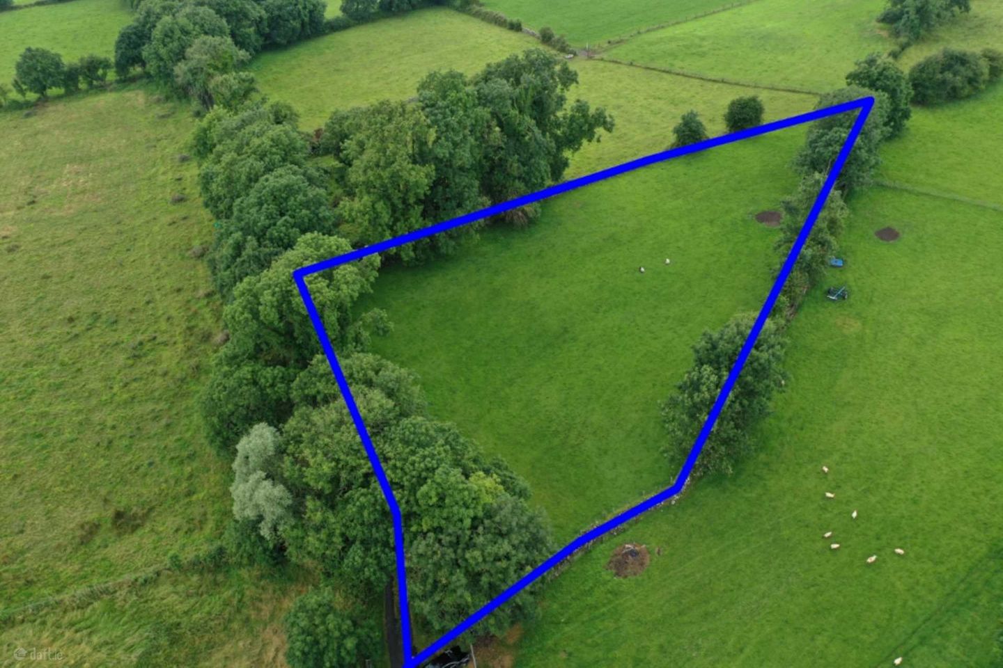 C. 1.25 Aces At, Lisnagavragh, Four Roads, Co. Roscommon — photo 1