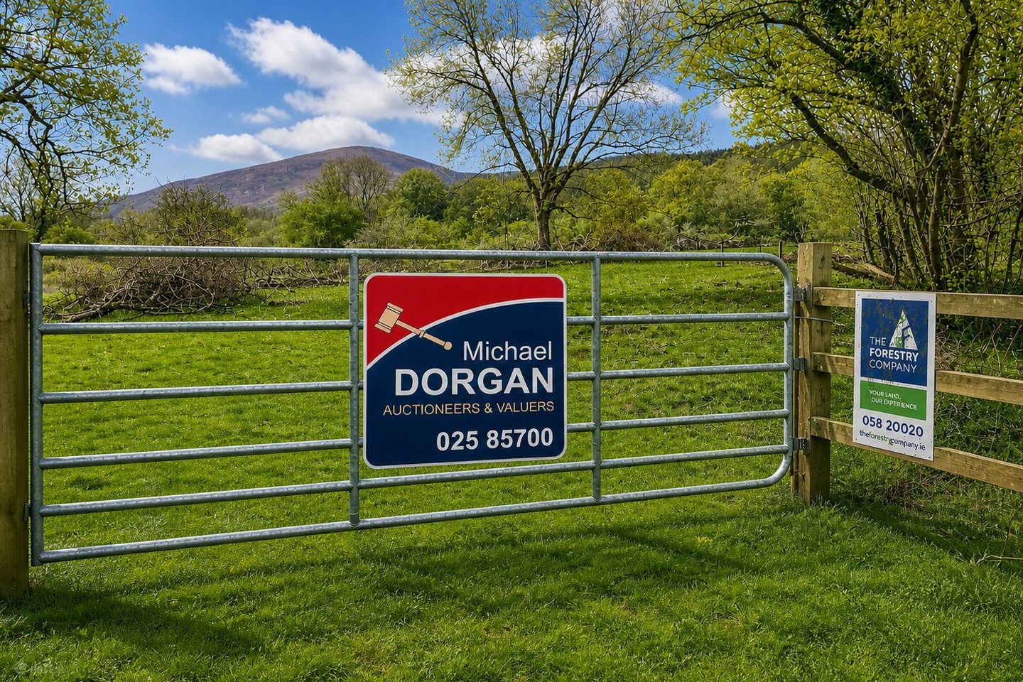 c.53 acres Forrest, Rearoe, Clogheen near, Mitchelstown, Co. Cork — photo 1