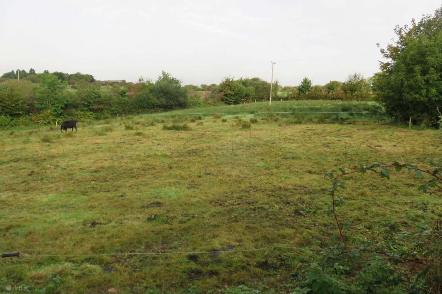 Ratharoon West, Bandon, Co. Cork — photo 1