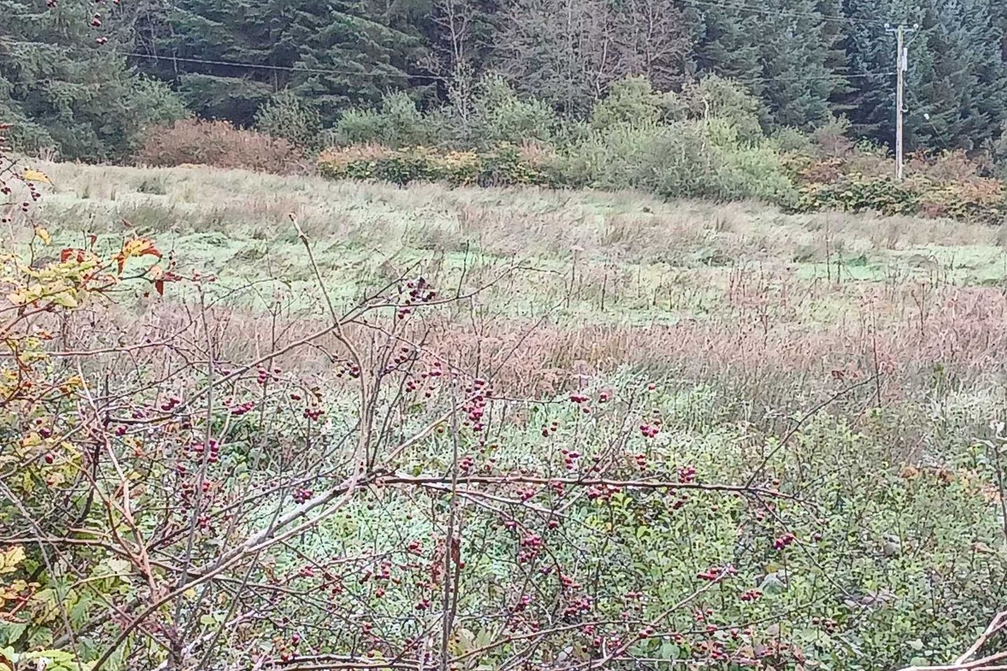 Glencollins, Ballydesmond, Co. Cork — photo 1