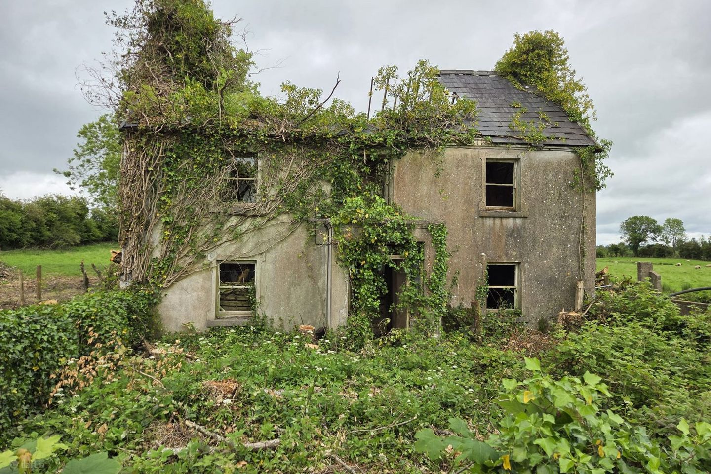 Carrowtawny, Templehouse, Ballymote, Co. Sligo — photo 1