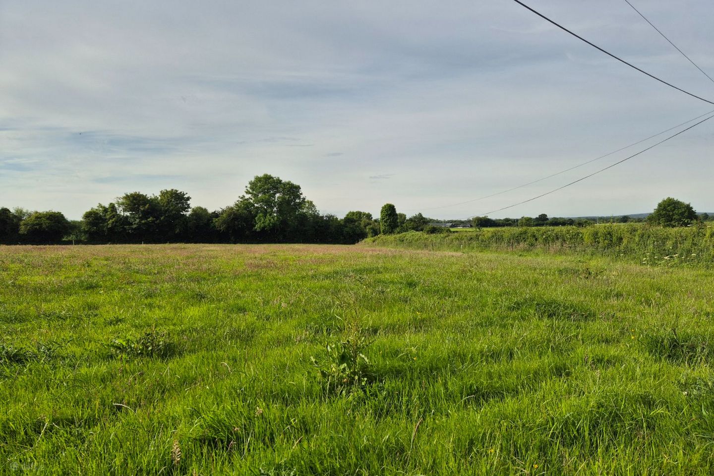 An elevated 0.65 acre.
