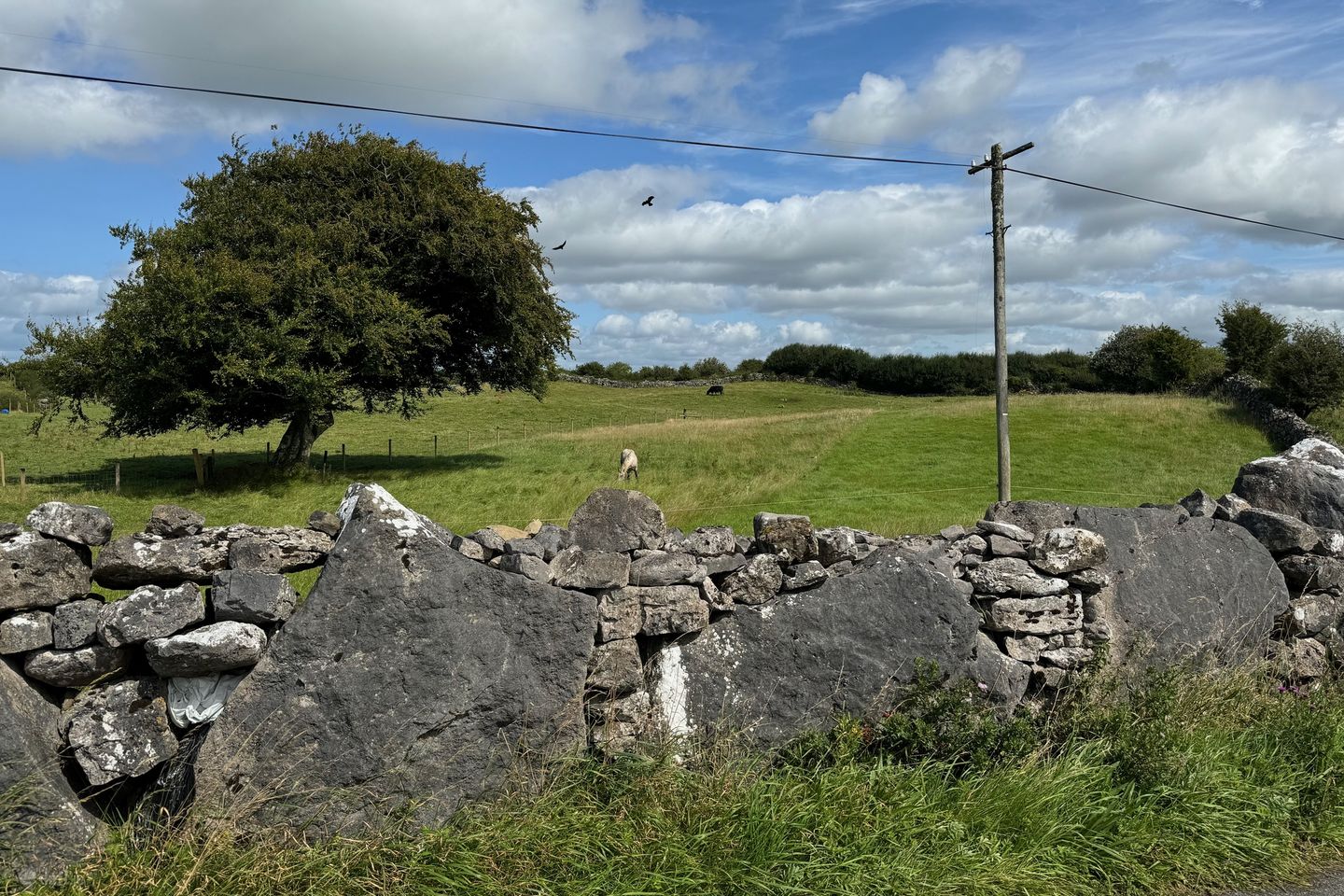 Knockaunakill, Mayo Abbey, Claremorris, Co. Mayo — photo 1