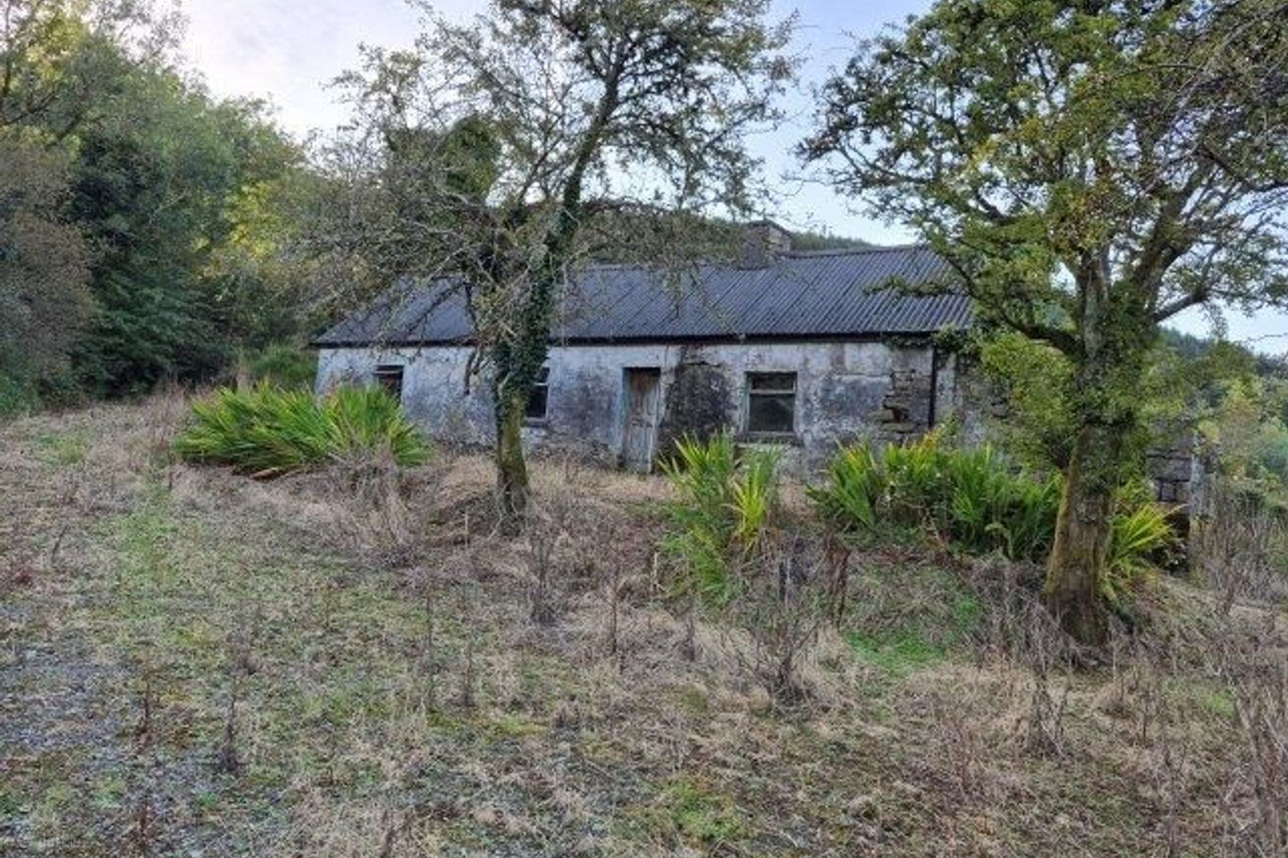 Gleniege, Glencar, Manorhamilton, Co. Leitrim — photo 1