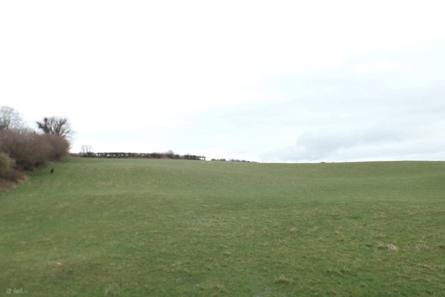 Rannagh, Tulla, Co. Clare — photo 1