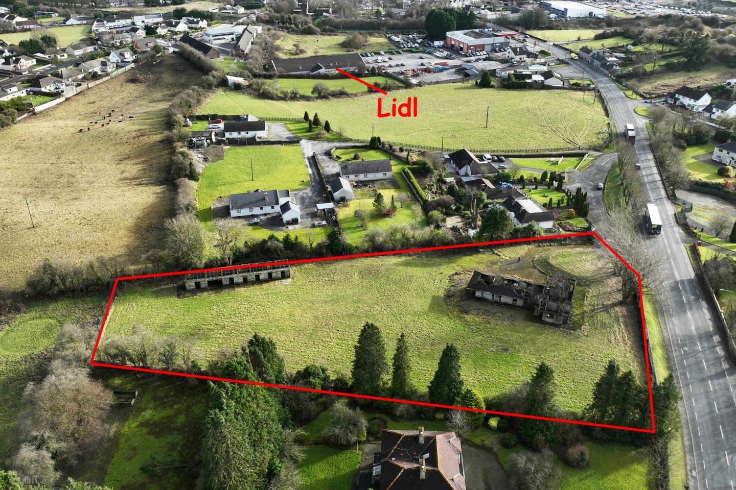 Birr Road, Roscrea, Co. Tipperary — photo 1