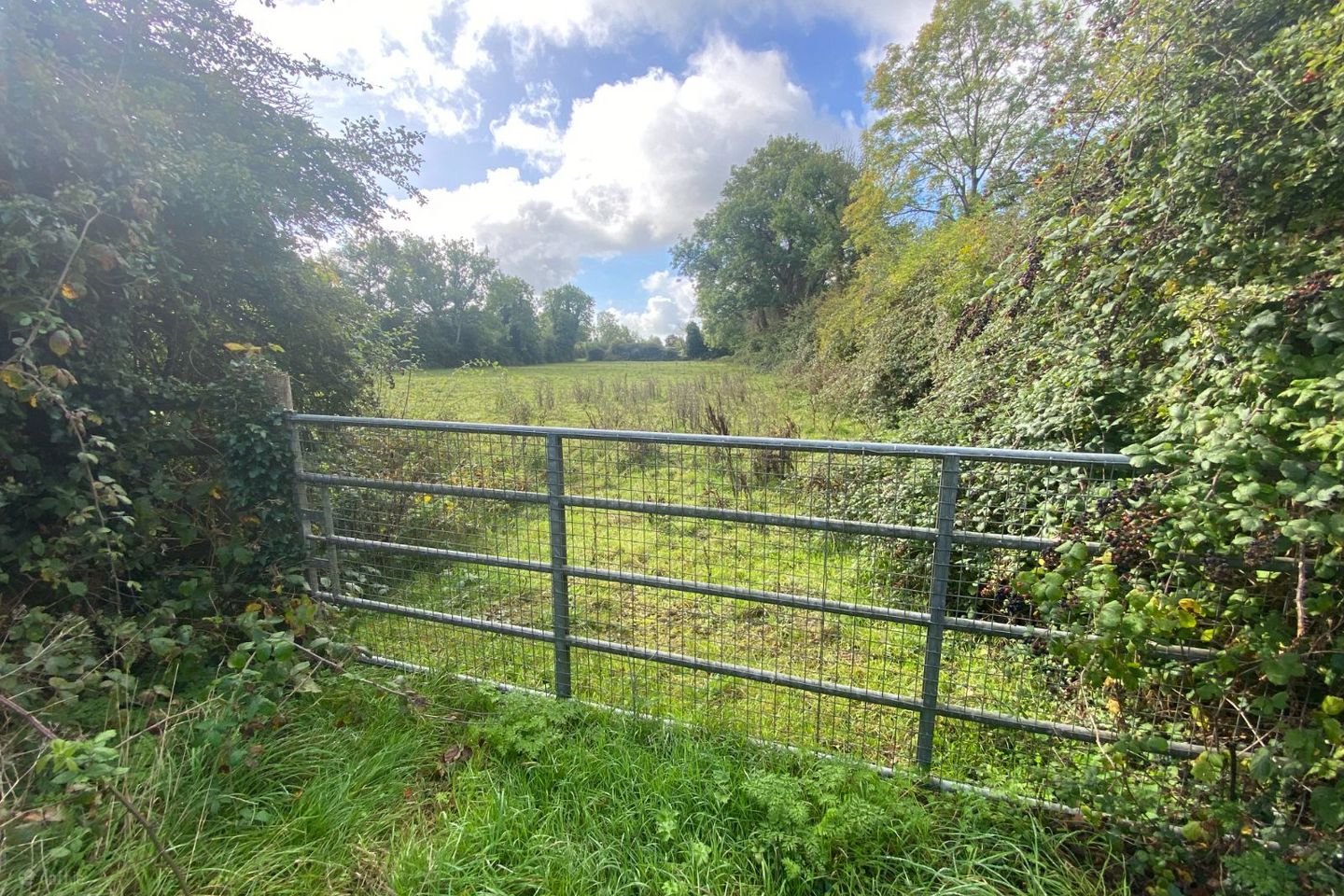 Cabin Hill, Ratoath, Co. Meath — photo 1