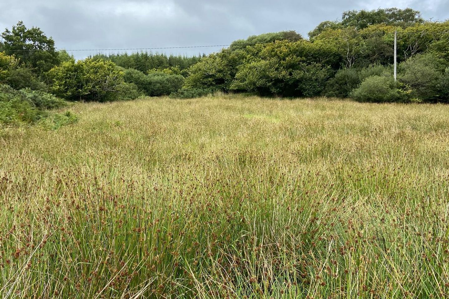 Letterkenny, Breenagh, Co. Donegal — photo 1