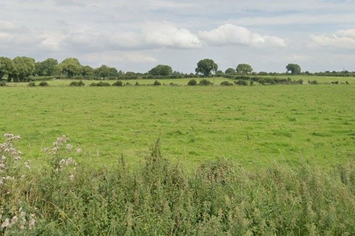 Ballysheedy, Ballysheedy, Co. Limerick — photo 1