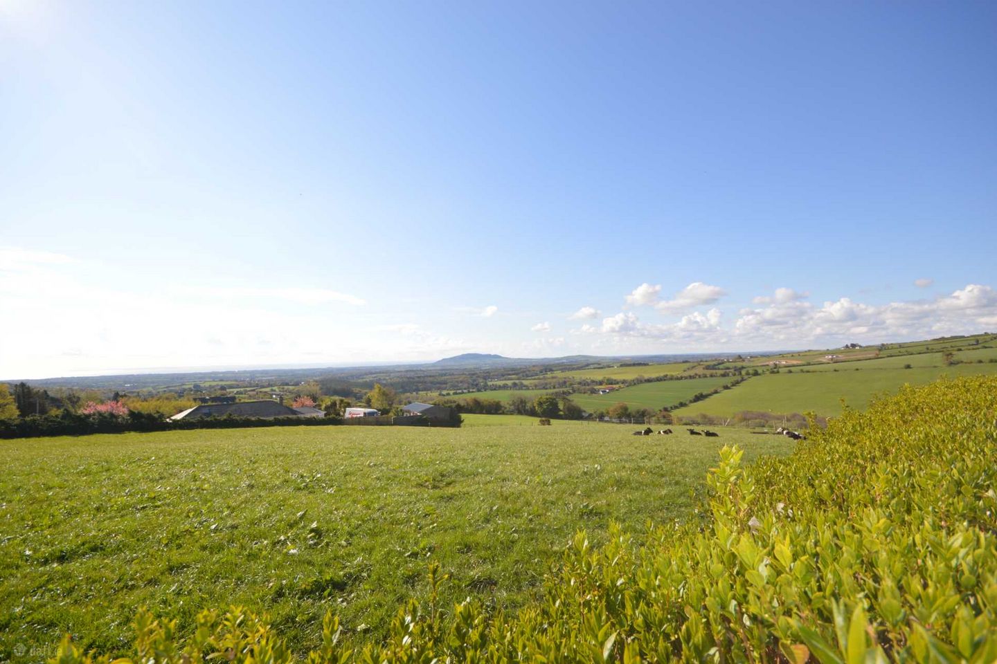 Site `A` Moneyribbon, Coolgreany, Co. Wexford — photo 1