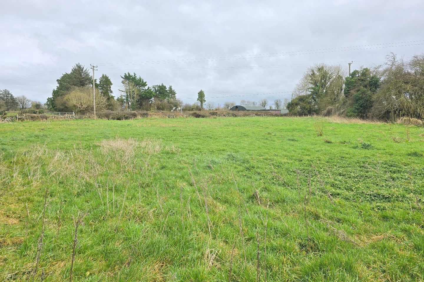 Alloon, Ballymacward, Gurteen, Co. Galway, H53F6P8 — photo 1