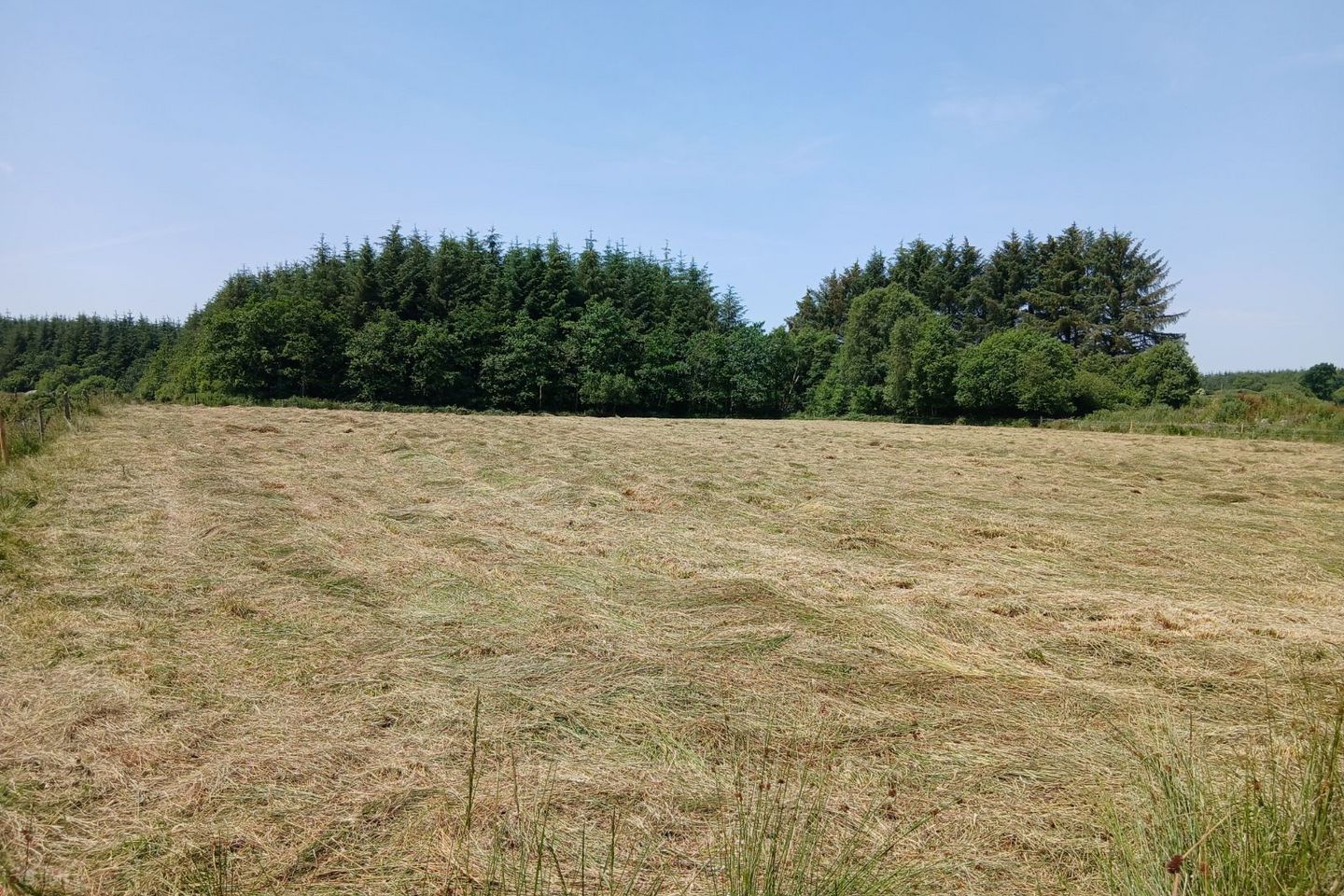 Rathbeg, Rathmore, Co. Kerry — photo 1