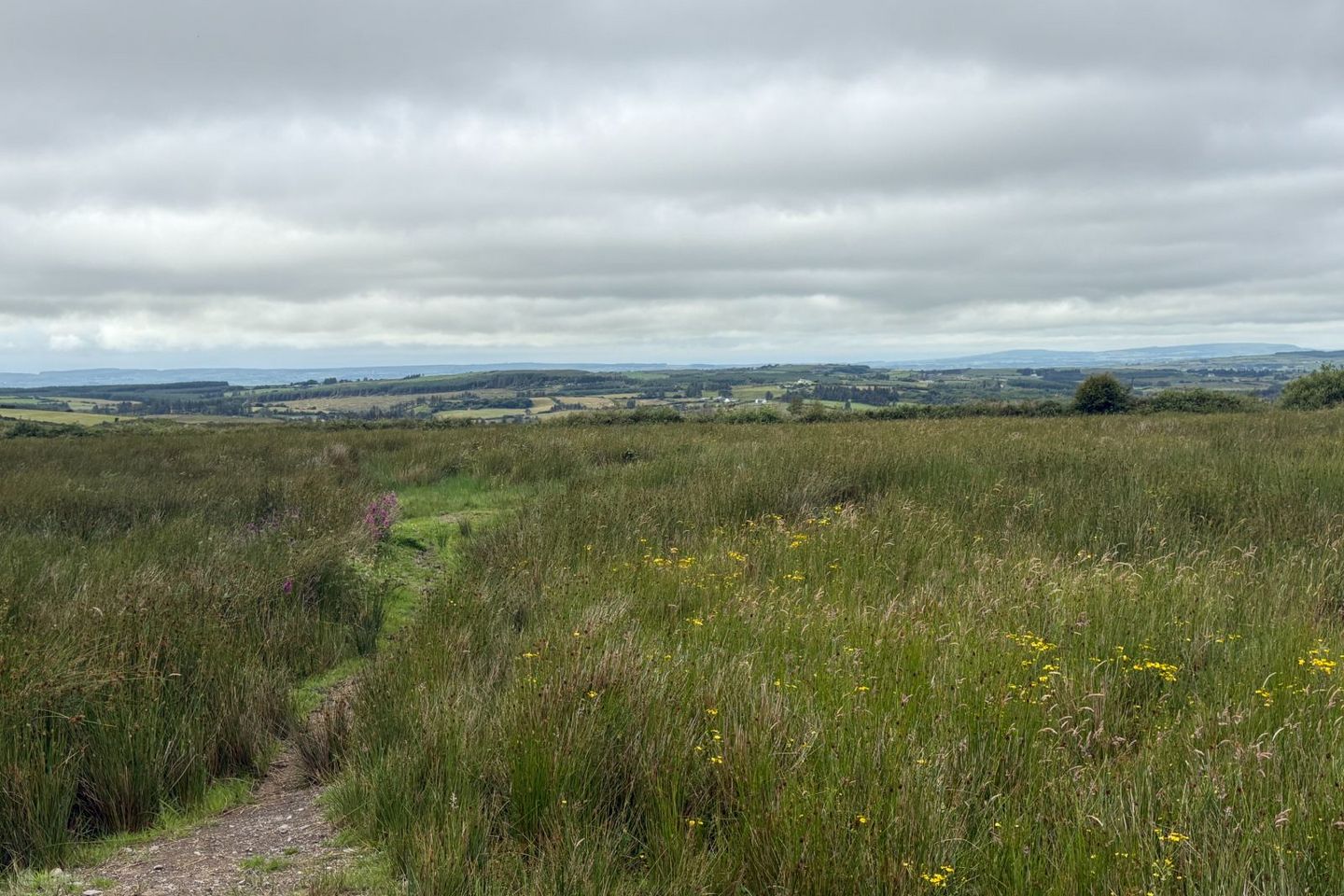 Boolyduff, Inagh, Co. Clare — photo 1