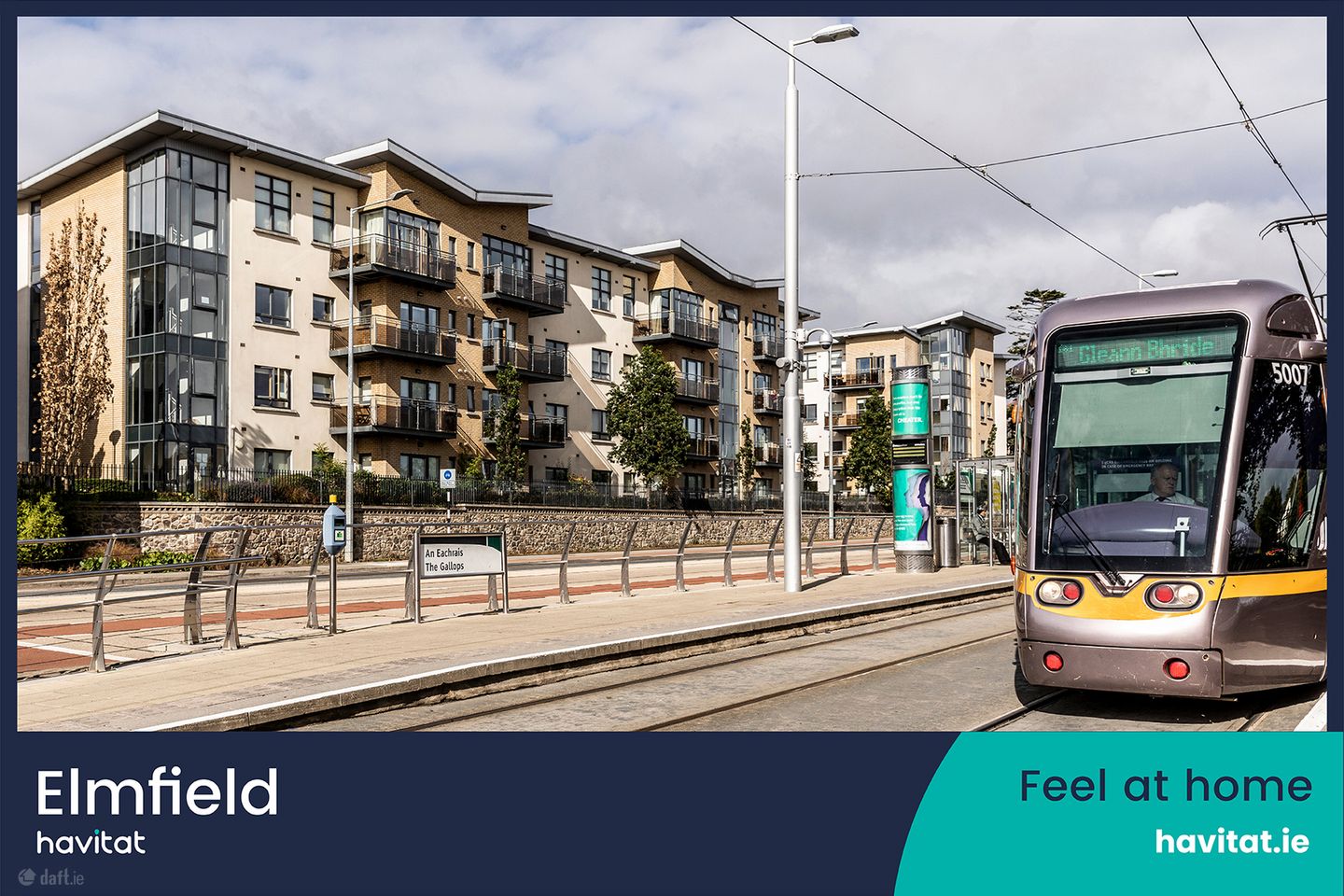 Elmfield 