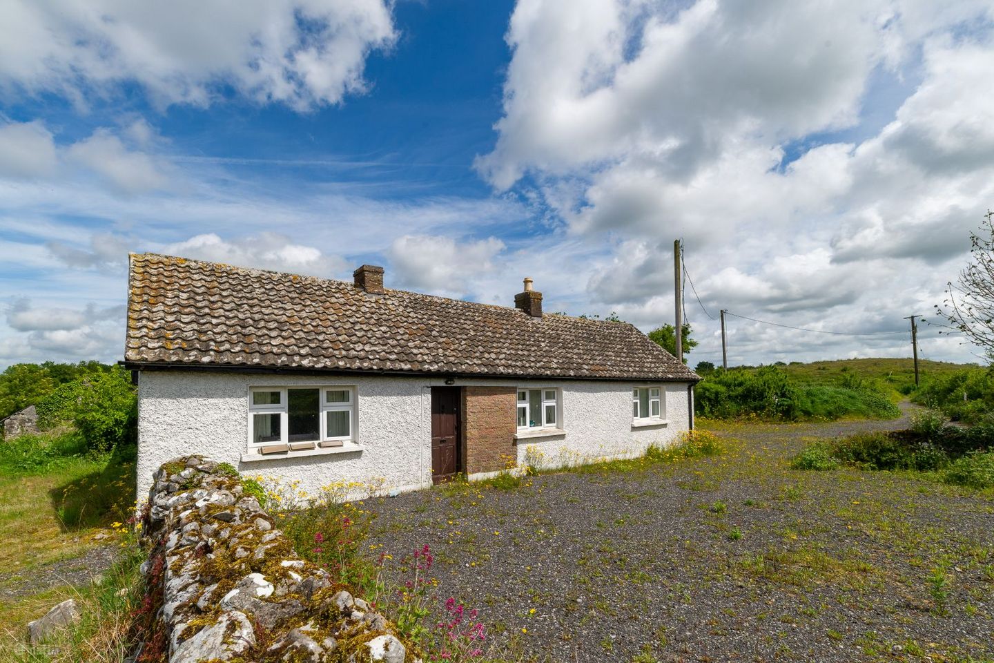 Glasshouse, Blue Ball, Tullamore, Co. Offaly, R35W897 — photo 1